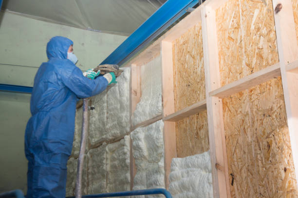 Best Insulation for Commercial Buildings  in Port Hueneme, CA